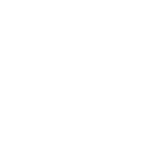 dedicated-support-team