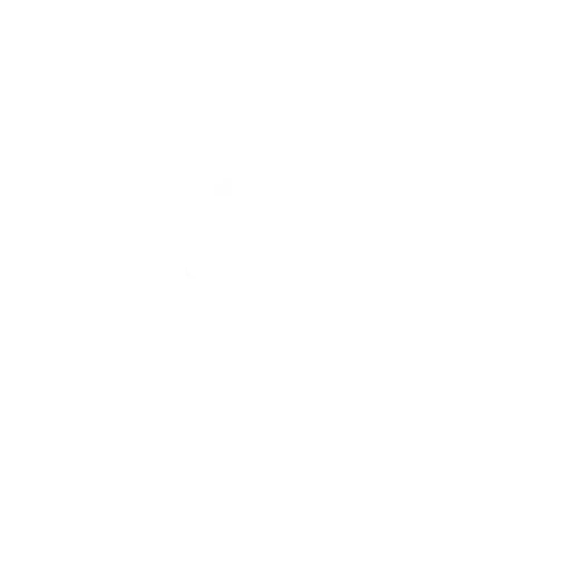 eco-friendly-options
