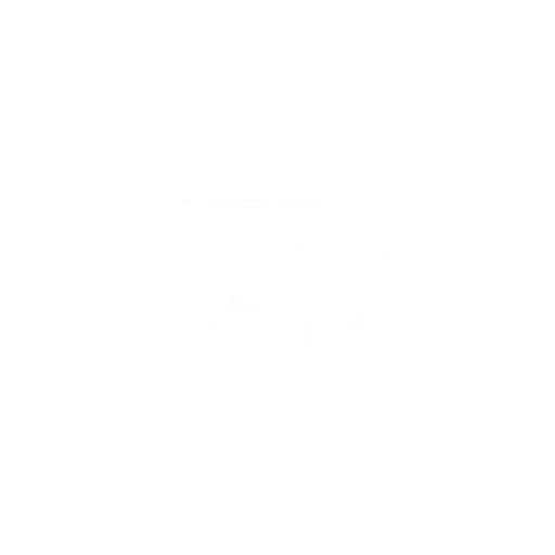 custom branding